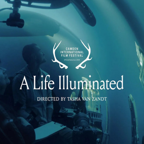 A Life Illuminated poster